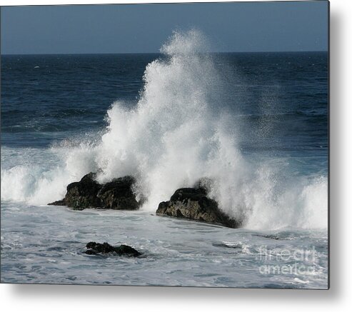Metal Print