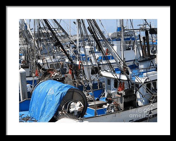 Fishing Boats In Monterey Harbor by James B Toy. Click to enlarge or purchase.