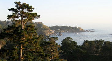 View from Highlands Inn by James B Toy.