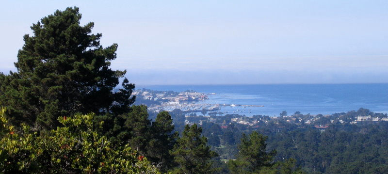 Monterey Harbor from Jacks Peak by James B Toy.