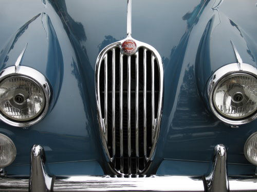 Jaguar Grille by James B Toy. Click to enlarge or purchase.
