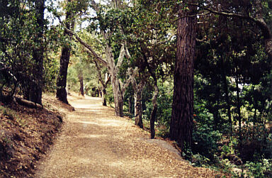 Mission Trail Park by James B Toy.