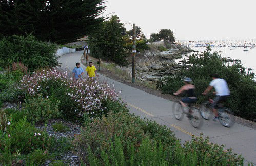 Bicycles on the Shoreline Recreation Trail, photo by James B Toy.