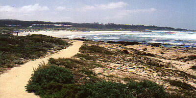 Asilomar Beach pathway looking towards Spanish Bay. Photo by James B Toy.