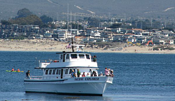 Tour Boat photo by James B Toy.